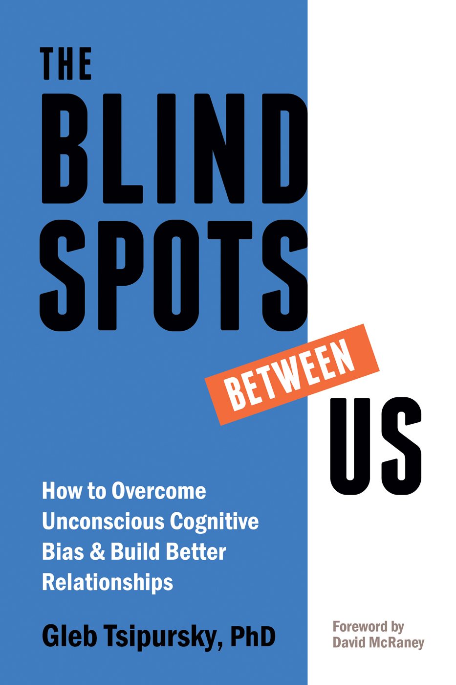 book cover for Blindspots Between Us