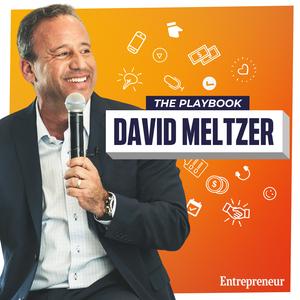 the-playbook-david-meltzer